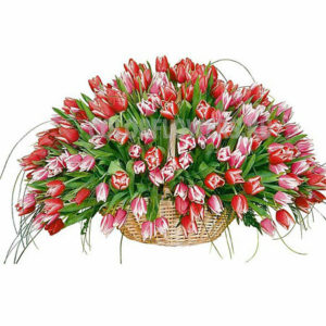 Ритуальная корзина из живых цветов Тюльпаны